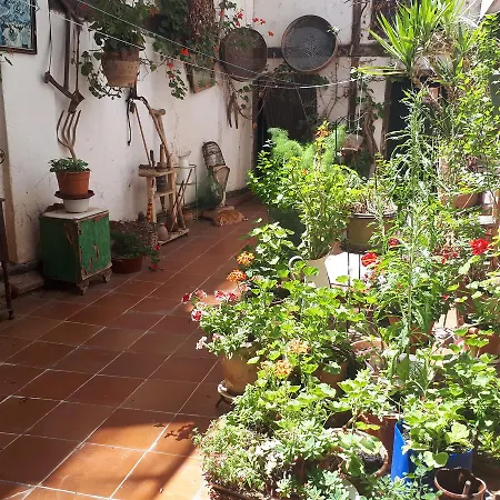 Fonda Del Tozal