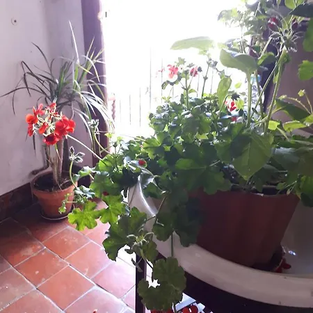 Guest house Fonda Del Tozal