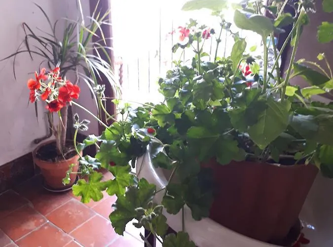 Pensionat Fonda Del Tozal